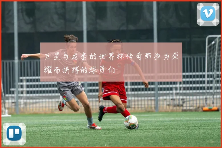 巨星与龙套的世界杯传奇那些为荣耀而拼搏的球员们