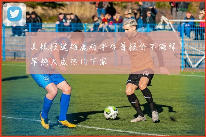 美媒报道雄鹿对字母哥报价不满绿军热火成热门下家